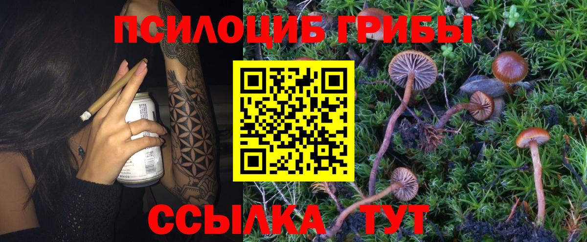 Галлюциногенные грибы мухоморы  Вход с VPN  Богданович 